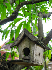 bird house