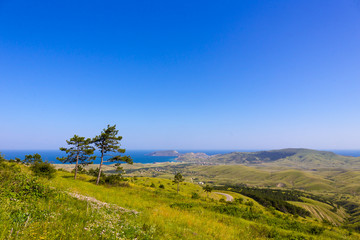 Beautiful crimean green landscape