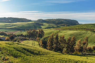 Green Hill Landscape in Central Sicily near Cammarata Mountain in Spring