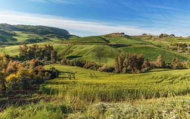 Fototapeta na wymiar Green Hill Landscape in Central Sicily near Cammarata Mountain in Spring
