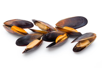 Mussels isolated on white background. Sea food. © gitusik