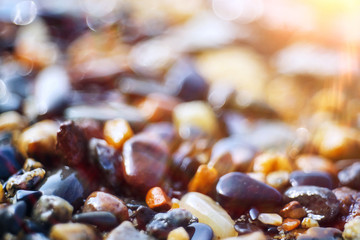 Pebble texture on the river bank