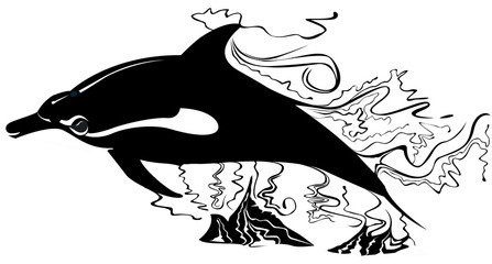 Dauphin en noir et blanc nageant