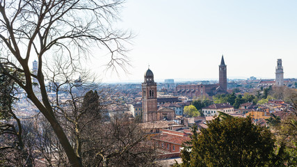 Fototapeta na wymiar view of Verona city with urban towers in spring