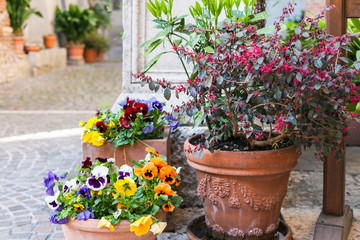 Fototapeta na wymiar outdoor flowerpods with fresh flowers on street