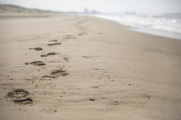 Footprints on the beach