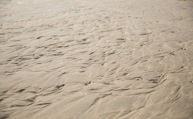 Textured wet sand on the beach
