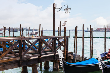 Fototapeta na wymiar Gulls and gondolas in Venetian lagoon