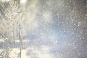 blurred winter background with snowflakes for text