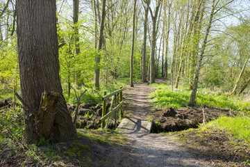 Spring in countryside with footbridge, Cheshire UK