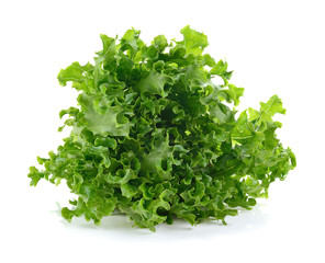 fresh  lettuce leaves isolated on white