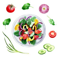 fresh vegetable salad and Ingredients: onion, tomatoes, cucumber, spinach. Watercolor food illustration for cookbook, recipe, menu design