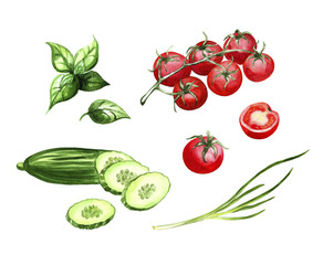 watercolor vegetables cherry-tomatoes, cucumber, basil, green onion, illustration fo cookbook design, recipe, market poster, menu