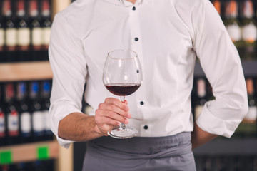 Somellier Wine Business Alcohol Drink Store Concept