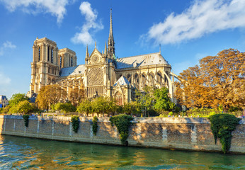 Fototapeta na wymiar The Cathedral of Notre Dame de Paris, France.
