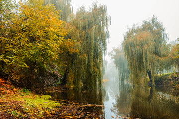 Fototapeta na wymiar Fog over river in forest in the autumn
