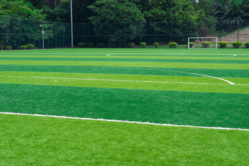 soccer field