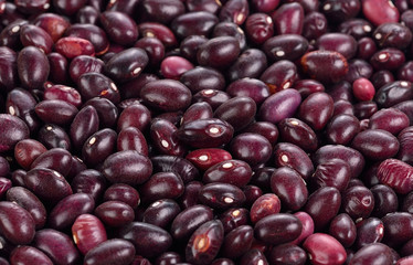 Red bean isolated on white background