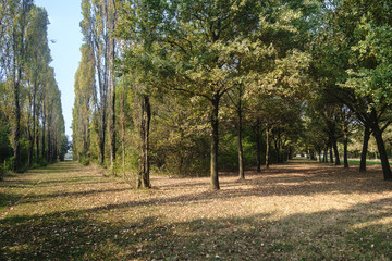 Milan (Italy): Parco Nord at fall