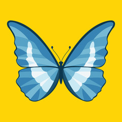 Butterfly vector illustration style Flat
