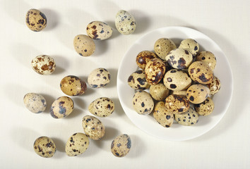 Quail eggs in a white bowl in a sacking