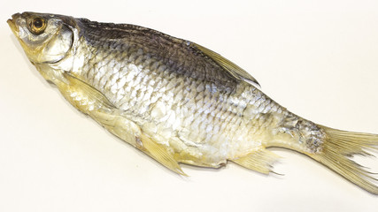 Dry fish  on white background