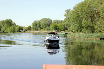 Fototapeta premium Buga 2015 Rathenow