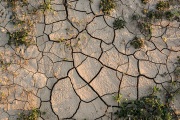 Drought agricultural land. The ground cracks, no water, lack of moisture.