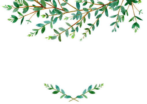 Floral border .Garland of a eucalyptus branches.Frame of a herbs.Watercolor hand drawn illustration.It can be used for greeting cards, posters, wedding cards.