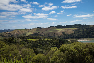 Naklejka premium Puhoi river flow to a sea