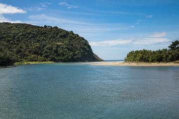 Naklejka premium Waiwera river