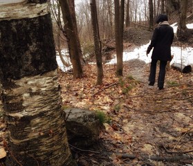 promenade en nature