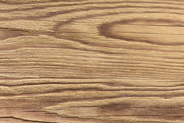 natural wood texture closeup