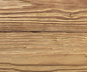 Naklejka premium natural wood texture closeup