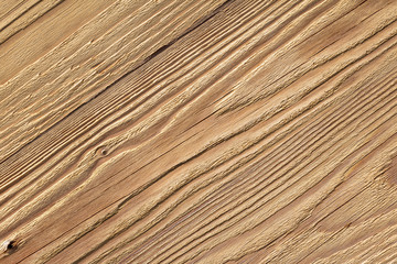 natural wood texture closeup