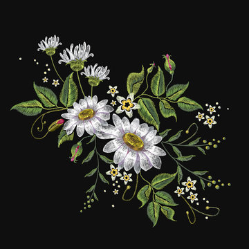 Chamomiles embroidery vector. Beautiful white chamomiles, spring flowers on black background. Template for clothes, textiles, t-shirt design