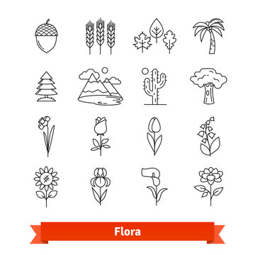Flora thin line art icons set. Plants life