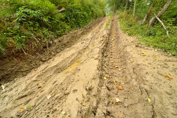 Extreme off road 4x4 muddy way through European forest. Poland.