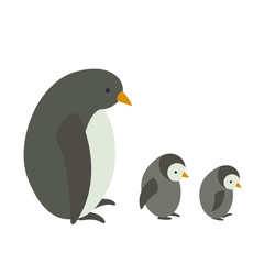 Vector Illustration of an Albatross