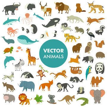 Collection of Animals of the World. Vector Illustration of Simple Cartoon Animal Icons.