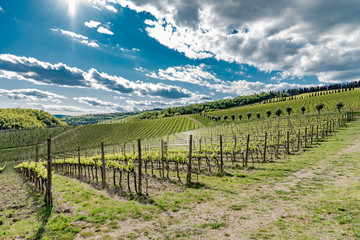 Fototapeta na wymiar Panorama of green chianti hills in tuscany italy in spring, land of red wine and cypresses
