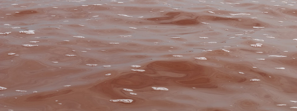 Typical pink water color at Lake Retba