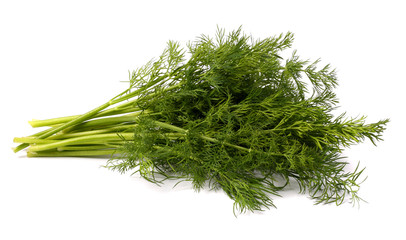 bunch fresh, green dill isolated on white background