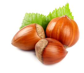 hazelnuts with green leaf isolated on white background