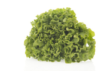 Obraz na płótnie Canvas Crop fresh green lettuce