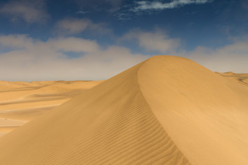 On top of a yellow sand dune
