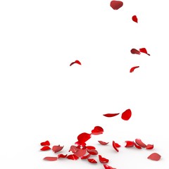 Rose petals fall to the floor