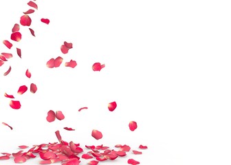 Rose petals fall to the floor