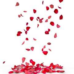 Rose petals fall to the floor
