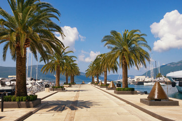 Fototapeta na wymiar Marina Porto Montenegro. Tivat, Montenegro